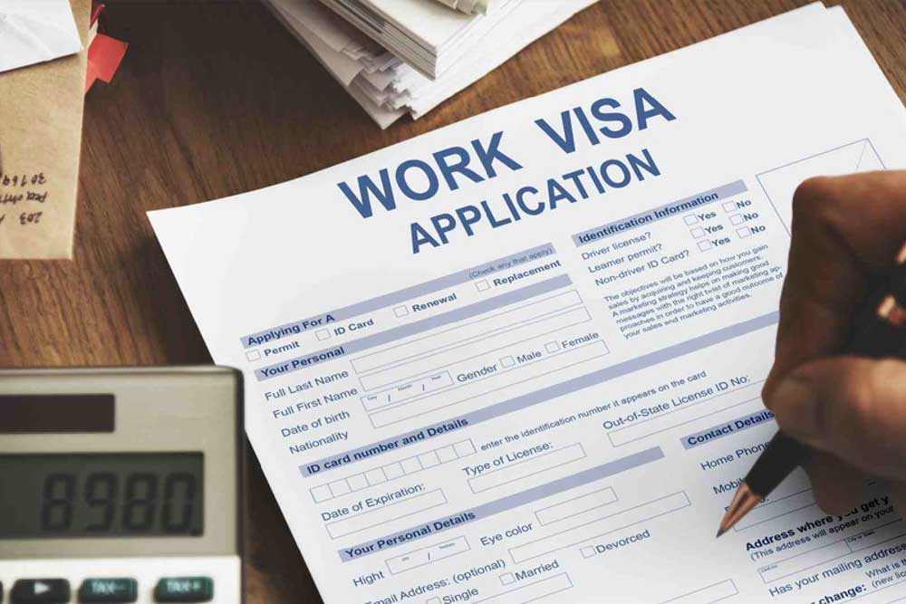 Company Visa Typing